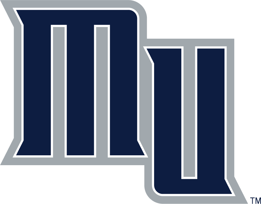 Monmouth Hawks 2003-2014 Secondary Logo v2 diy DTF decal sticker